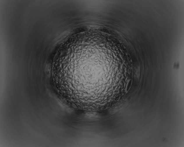 X0000091490666200708301937