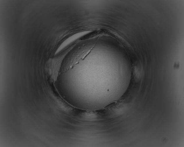 X0000091490668200708301937