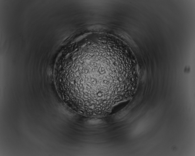 X0000091490669200708301937