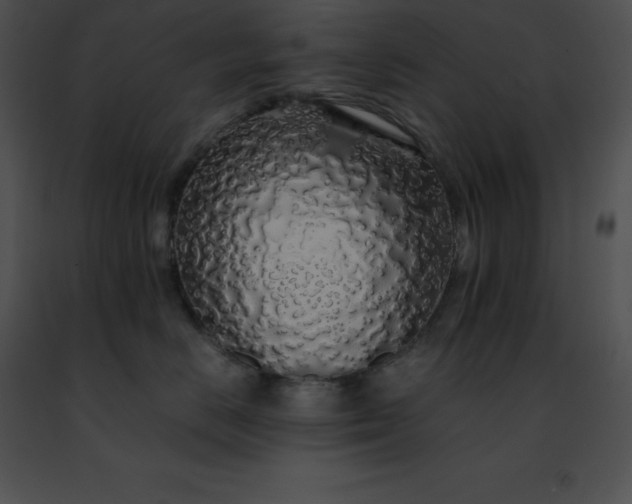 X0000091490670200708301937