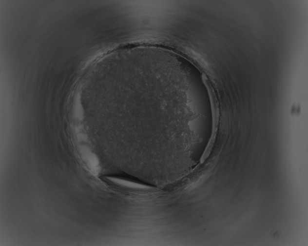 X0000091490673200708301937