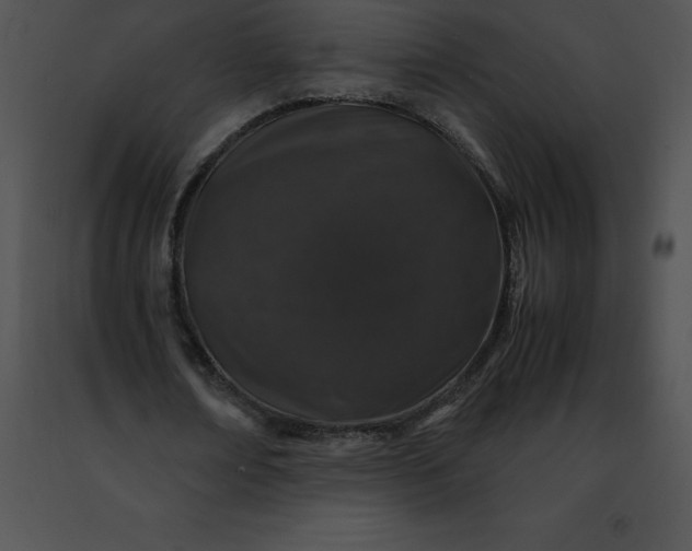 X0000091490674200708301936