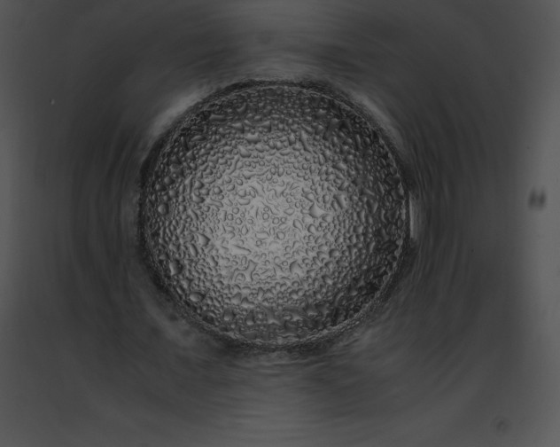 X0000091490675200708301936