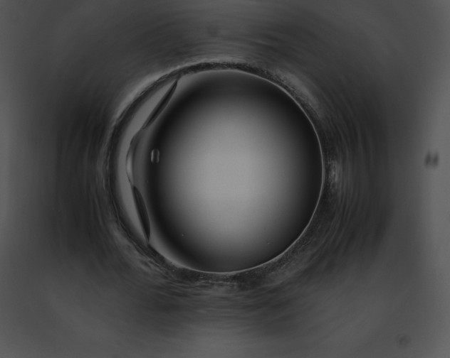 X0000091490676200708301936