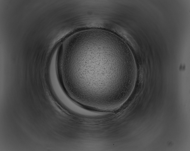 X0000091490677200708301936