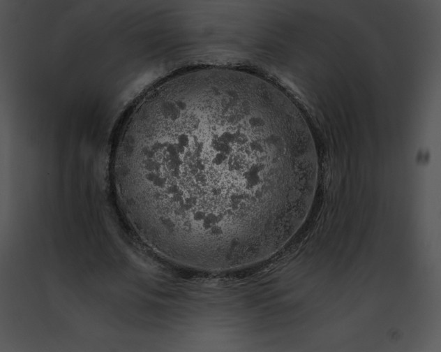 X0000091490679200708301936