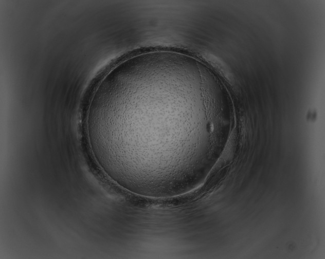 X0000091490680200708301936