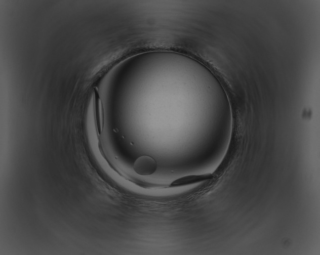 X0000091490681200708301936