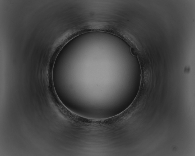 X0000091490682200708301936