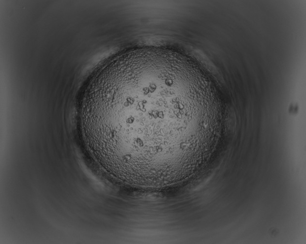 X0000091490683200708301936