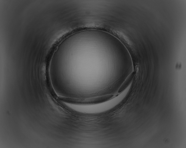 X0000091490684200708301936