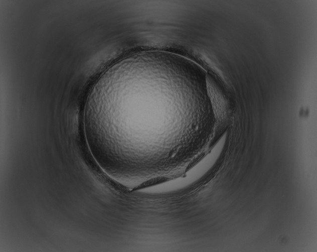 X0000091490685200708301936