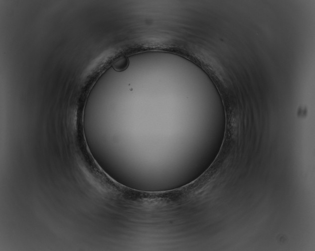 X0000091490686200708301936