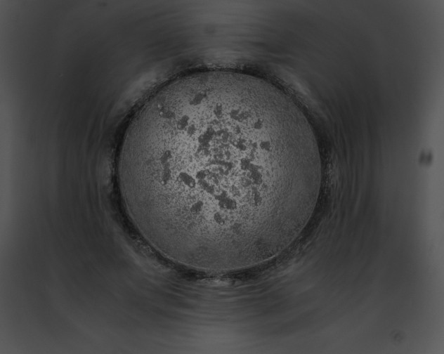 X0000091490687200708301936