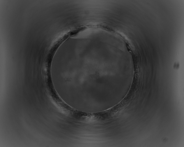 X0000091490688200708301936