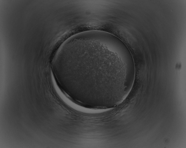 X0000091490689200708301936