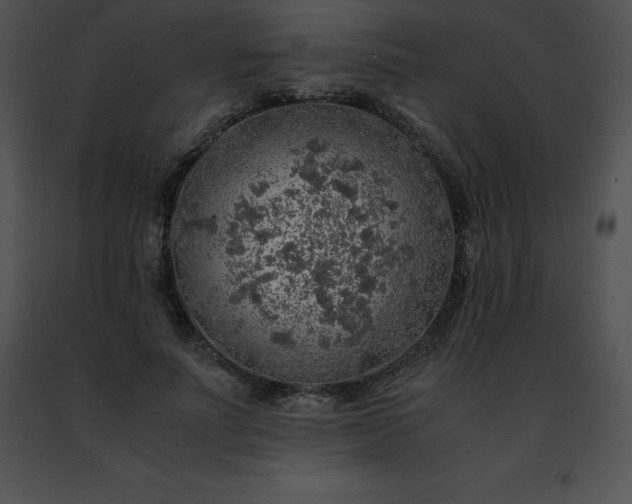 X0000091490691200708301936