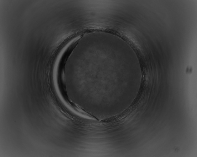 X0000091490692200708301936