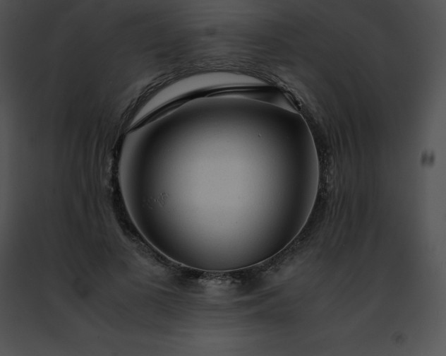 X0000091490693200708301936