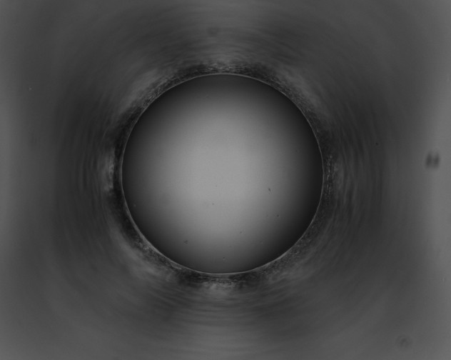 X0000091490694200708301936