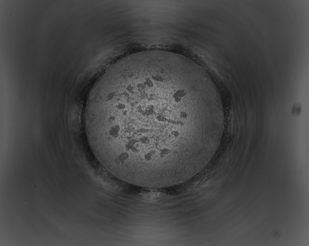 X0000091490695200708301936