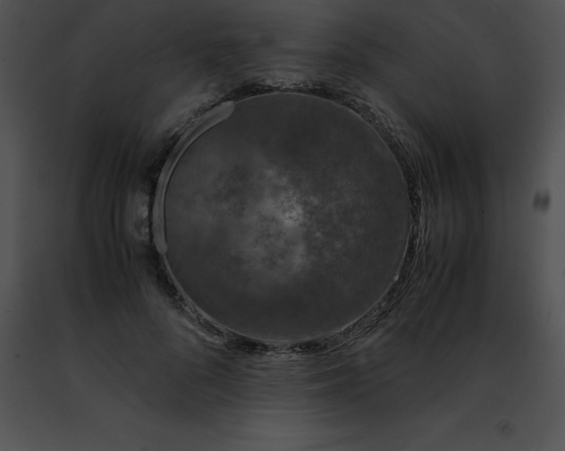 X0000091490696200708301936