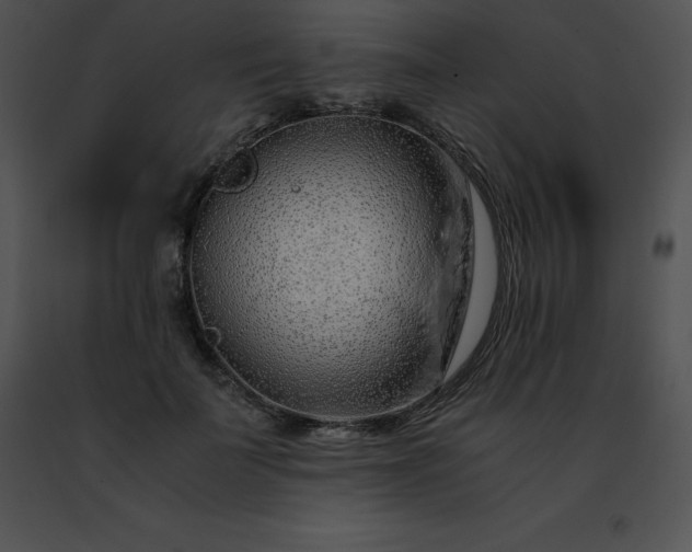 X0000091490699200708301936