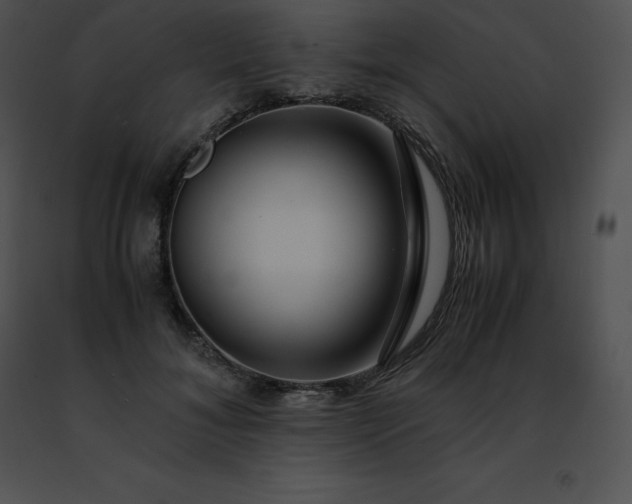 X0000091490700200708301936