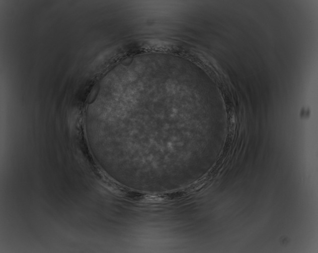 X0000091490701200708301936