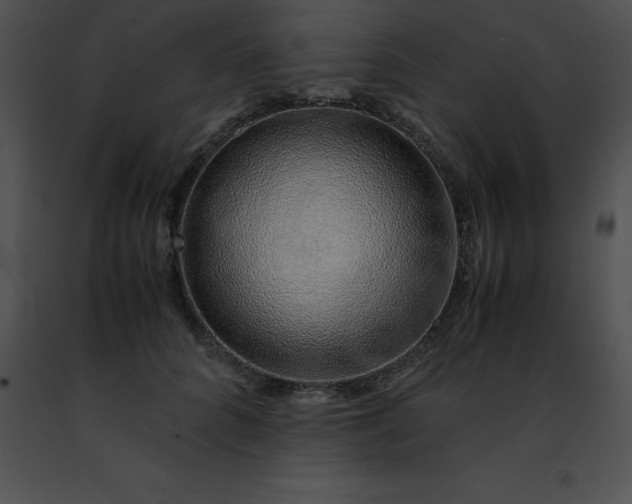 X0000091490704200708301936