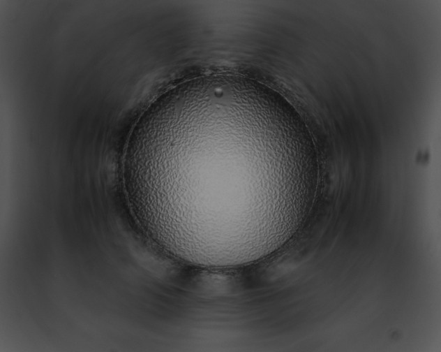 X0000091490706200708301936