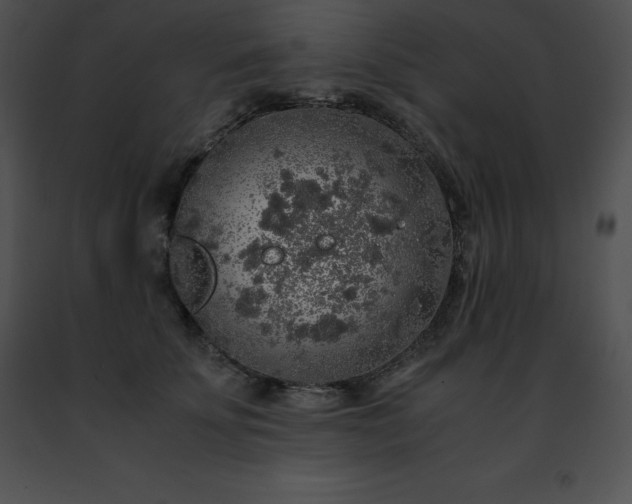 X0000091490707200708301936