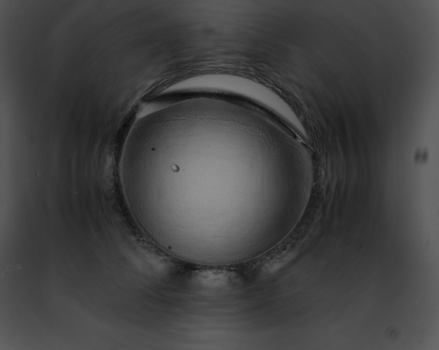 X0000091490708200708301936