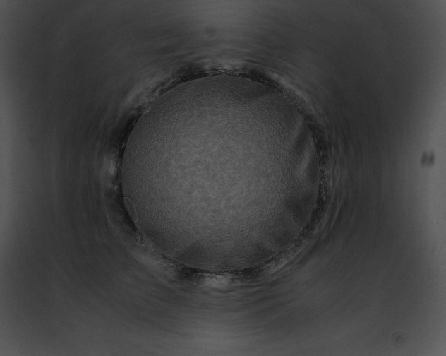 X0000091490709200708301936