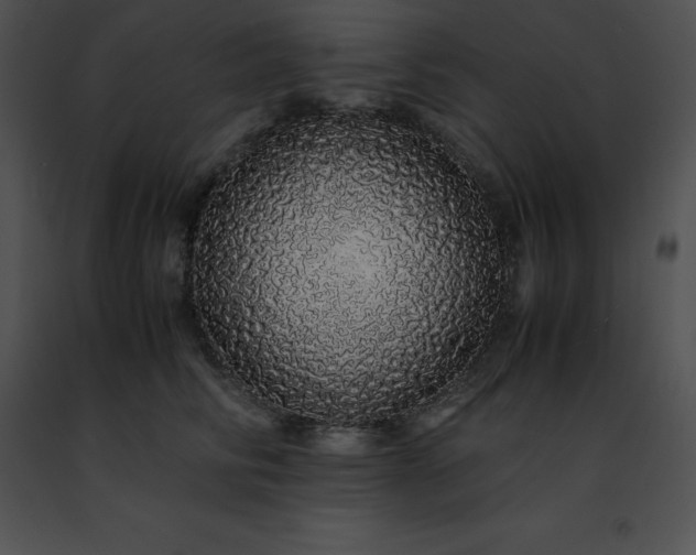 X0000091490710200708301936