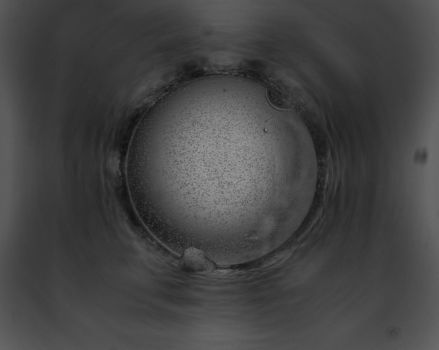 X0000091490711200708301936