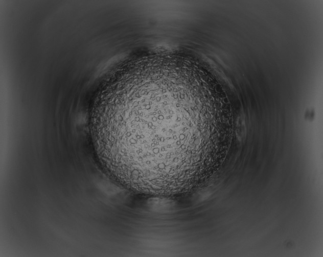 X0000091490714200708301936