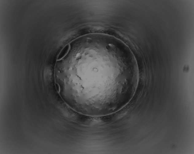 X0000091490715200708301936