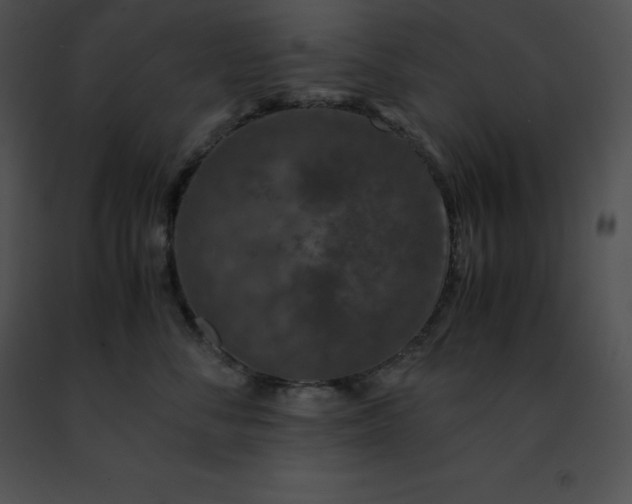 X0000091490716200708301936