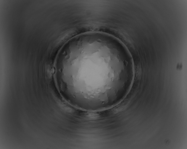 X0000091490719200708301936