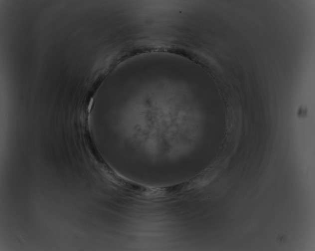 X0000091490720200708301936