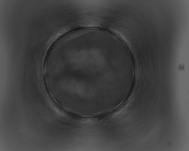 X0000091490721200708301935