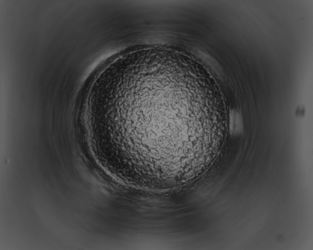 X0000091490723200708301935