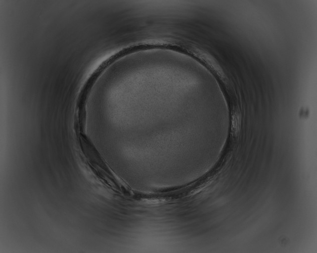 X0000091490724200708301935