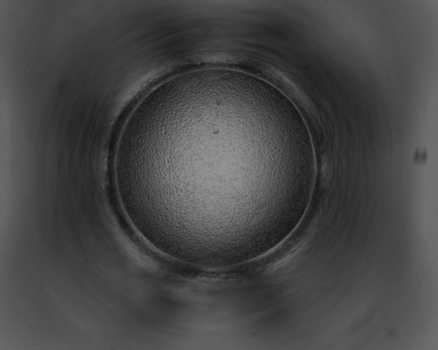 X0000091490725200708301935