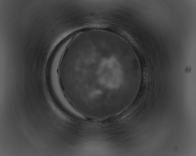 X0000091490726200708301935