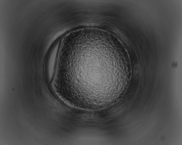 X0000091490727200708301935