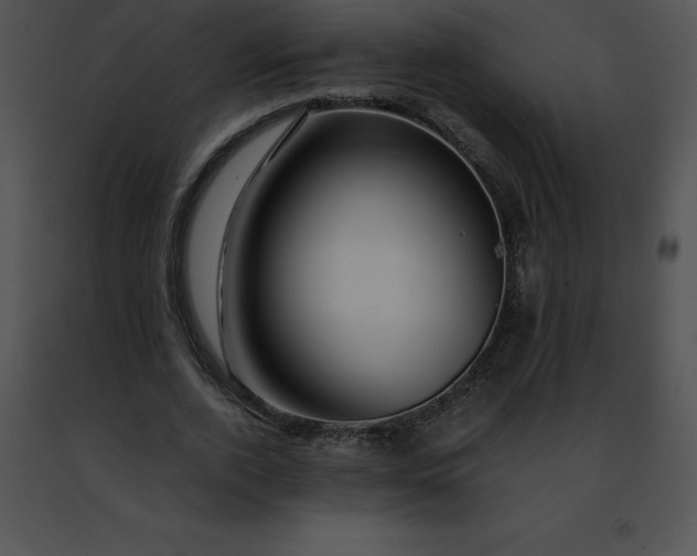 X0000091490728200708301935