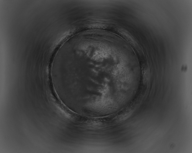 X0000091490729200708301935