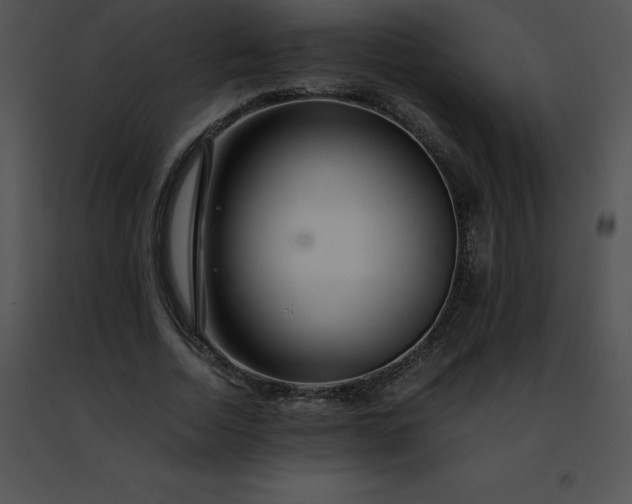 X0000091490730200708301935